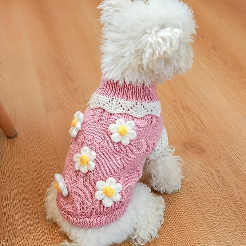 Psy Koty Sweter Śłodkie Codzienny Zima Ciepłe Oddychający Miękka Zmywalny Wygodny Na zewnątrz Codzienne Ubranka dla psów for Bichon frise Szpic miniaturowy szczeniaków i młodych kotów Motyl Small 2025 - $23.99 –P2
