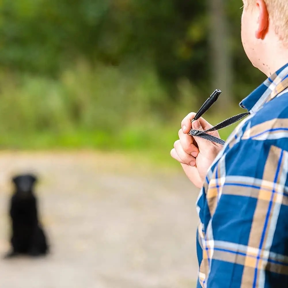 2025年 ストラップ付き犬笛 吠えを止める超音波犬笛 高周波サイレントホイッスル 犬の訓練用  コレクション – $13.99 –P6