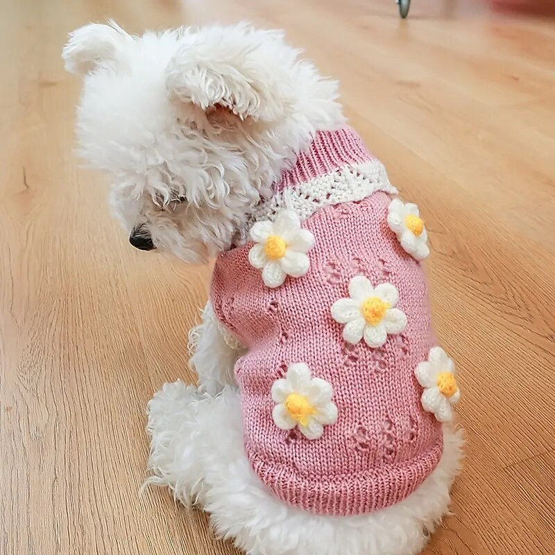 Psy Koty Sweter Śłodkie Codzienny Zima Ciepłe Oddychający Miękka Zmywalny Wygodny Na zewnątrz Codzienne Ubranka dla psów for Bichon frise Szpic miniaturowy szczeniaków i młodych kotów Motyl Small 2025 - $23.99 –P1