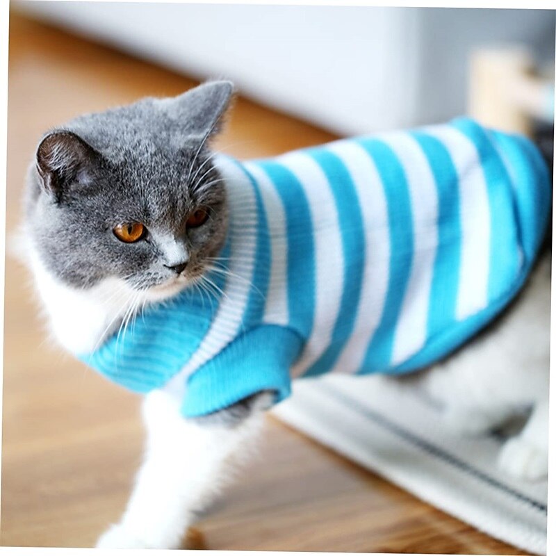 Cachorros Gatos Súeters Pulôver Vintage Casual Inverno Respirável Macio Lavável Confortável Ao ar livre Casual / Diário Roupas para cães for Bichon Frise Pomerânia Animais de Pequeno Porte Borboleta de 2025 por $18.99 –P10
