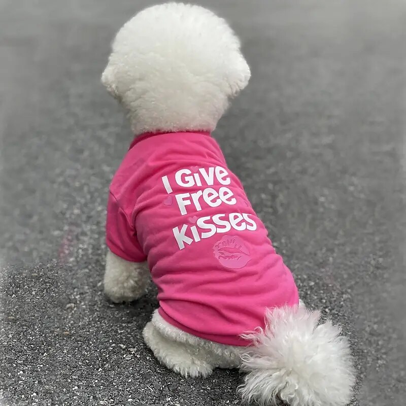 Hunder Katter Trøye / T-skjorte Mote Fritid Pustende Myk Vaskbar Bekvem utendørs Fritid / hverdag Hundeklær for Bichon Frisé Pommeran ungt kjæledyr Sommerfugl Small 2025 - $16.99 –P2