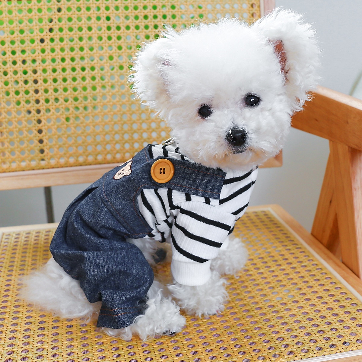 Cachorros Gatos Macacão Moda Casual Inverno Respirável Macio Lavável Confortável Ao ar livre Casual / Diário Roupas para cães for Bichon Frise Pomerânia Animais de Pequeno Porte Borboleta Small de 2025 por $20.99 –P1