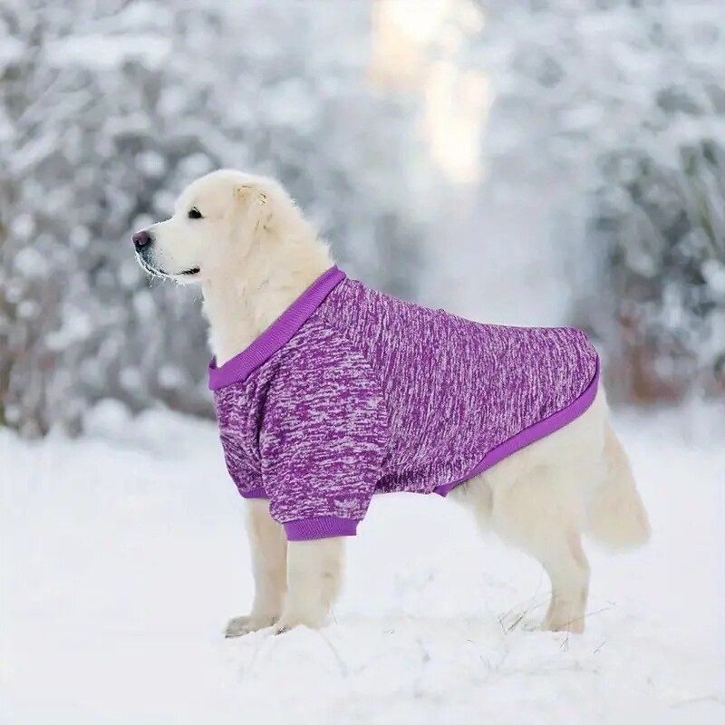Cachorros Gatos Moletom Moda Festa Inverno Quente Respirável Macio Lavável Confortável Natal Dia Das Bruxas Ao ar livre Casual / Diário Roupas para cães for Bichon Frise Pomerânia Animais de Pequeno de 2025 por $17.49 –P8