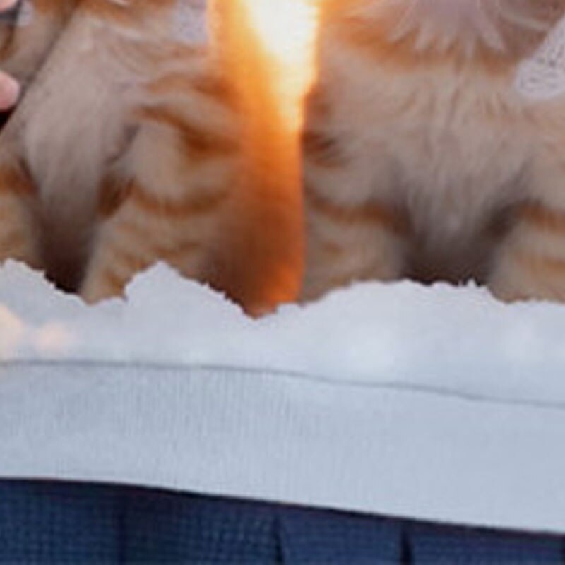 Lány 3D Cica Pulóver Pullover Hosszú ujj 3D nyomtatás Ősz Tél Divat Utcai sikk Imádni való Poliészter Gyerekek 3-12 év Terített nyak Szabadtéri Hétköznapi Napi Normál 2025 - $16.49 –P5