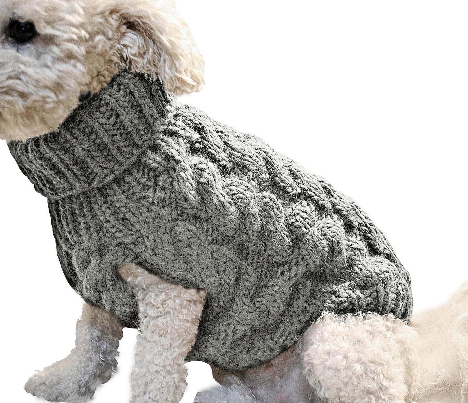 Hund Katt Tröjor Jumper Mode Ledigt Vinter Varm Andningsfunktion Mjuk Tvättbar Bekväm Utomhus Ledigt / vardag Hundkläder for Bichon Frisé Pommeran valpen eller det lilla husdjuret Fjäril Small 2025 - $18.99 –P9