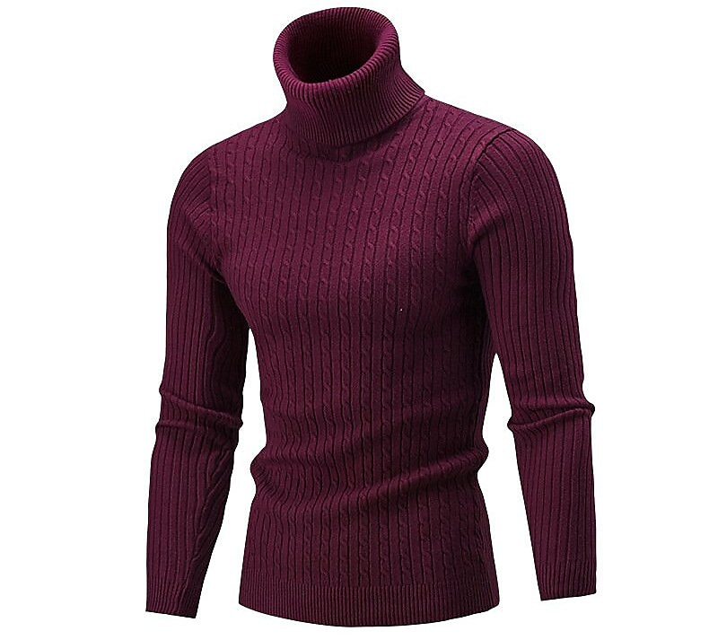 Herren Rollkragenpulli Pullover Strickpullover Rollkragenpullover für Herren Gerippt Gedrehtes Stricken Retro Stilvoll Farbblock Rollkragen Perlenbesetzter Saum Pullover Täglich Festtage Bekleidung 2025 - $18.49 –P7