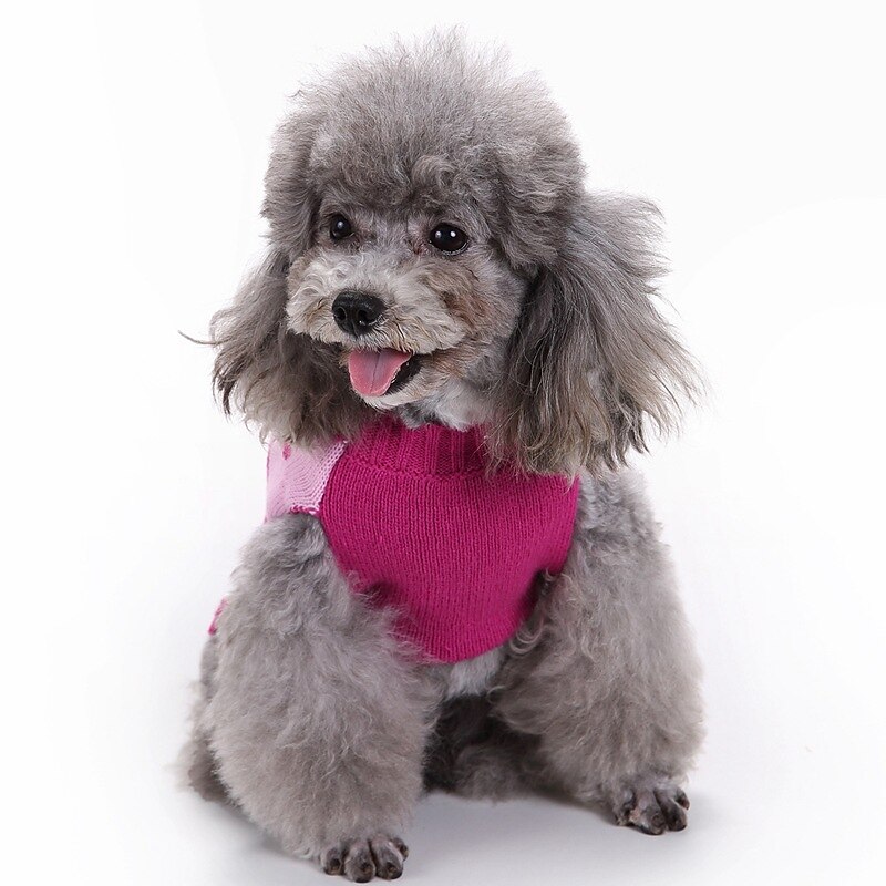Hund Katze Pullover Jumper Elegant Niedlich Winter Atmungsaktiv Weich Waschbar Bequem Weihnachten Outdoor Alltagstauglich Hundebekleidung for Bichon Frise Zwergspitz Baby Haustier Papillon Klein 2025 - $18.99 –P3