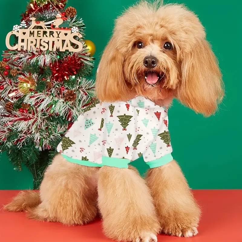 Hund Katt Huvtröjor Julkostym Juloutfit Förtjusande party Vinter Andningsfunktion Mjuk Tvättbar Bekväm Jul Utomhus Ledigt / vardag Hundkläder for Bichon Frisé Pommeran valpen eller det lilla 2025 - $13.99 –P5
