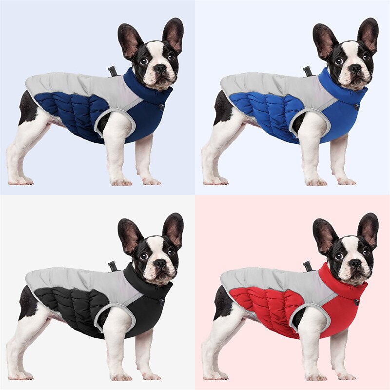 Koirat Kissat Takit Takki Liivi Muoti Vapaa-aika Talvi Heijastava Vedenkestävä Lämmin Hengittävä Pehmeä Joulu Halloween ulko- Rento / arki Koiran vaatteet for Bichon Frise Pomeranian Pienelle 2025 - $23.99 –P3