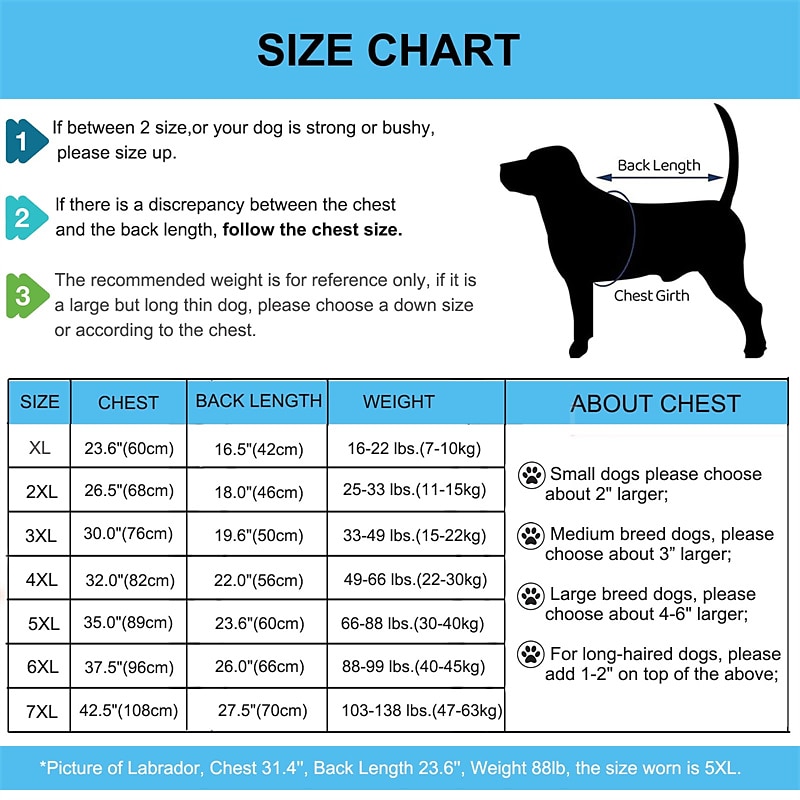 Dog Cat Surgery Recovery Suit Fashion Casual Winter Warm Breathable Soft Washable Comfortable Christmas Halloween Outdoor Casual Daily Dog Clothing for Bichon Frise Pomeranian Baby Pet Papillon Small 2025 - $20.99 –P4