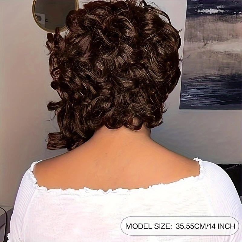 Synthetic Short Bob Wigs For Women Afro Curly Natural Synthetic Hair Wig For Daily Wear 14 Inch 2026 - $17.49 –P5