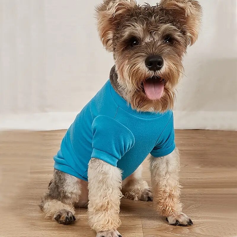 Hunder Katter Trøye / T-skjorte Mote Fritid Pustende Myk Vaskbar Bekvem utendørs Fritid / hverdag Hundeklær for Bichon Frisé Pommeran ungt kjæledyr Sommerfugl Small 2025 - $16.99 –P7