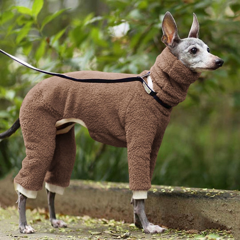 Cane Gatto Cappotto Giacca Moda Casual Inverno Traspirante Morbido Lavabile Confortevole All'aperto Casual Quotidiano Abbigliamento per Cani for Bichon Frisé Volpino di Pomerania Cucciolo Papillon del 2026 a $27.99 –P6