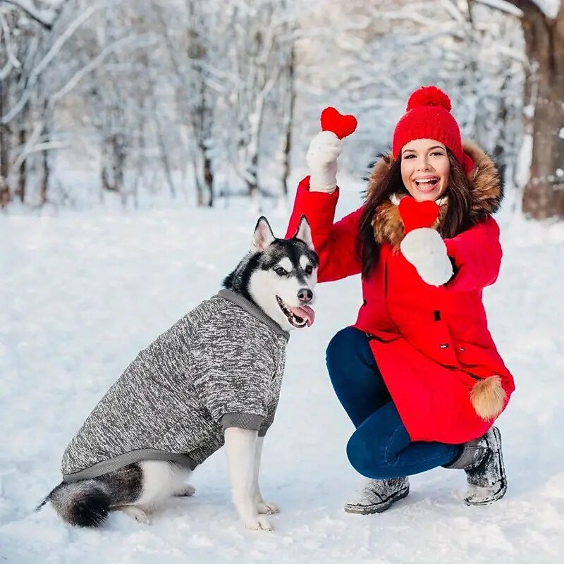 Cachorros Gatos Moletom Moda Festa Inverno Quente Respirável Macio Lavável Confortável Natal Dia Das Bruxas Ao ar livre Casual / Diário Roupas para cães for Bichon Frise Pomerânia Animais de Pequeno de 2025 por $17.49 –P5