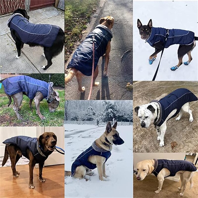Câini Pisici Γιλέκο Modă Petrecere Iarnă Reflexiv Impermeabil Respirabil Lavabil Comfortabil Crăciun Halloween În aer liber Casul / Zilnic Îmbrăcăminte pentru câini for Bichon Frise Pomeran un 2025 - $23.99 –P2