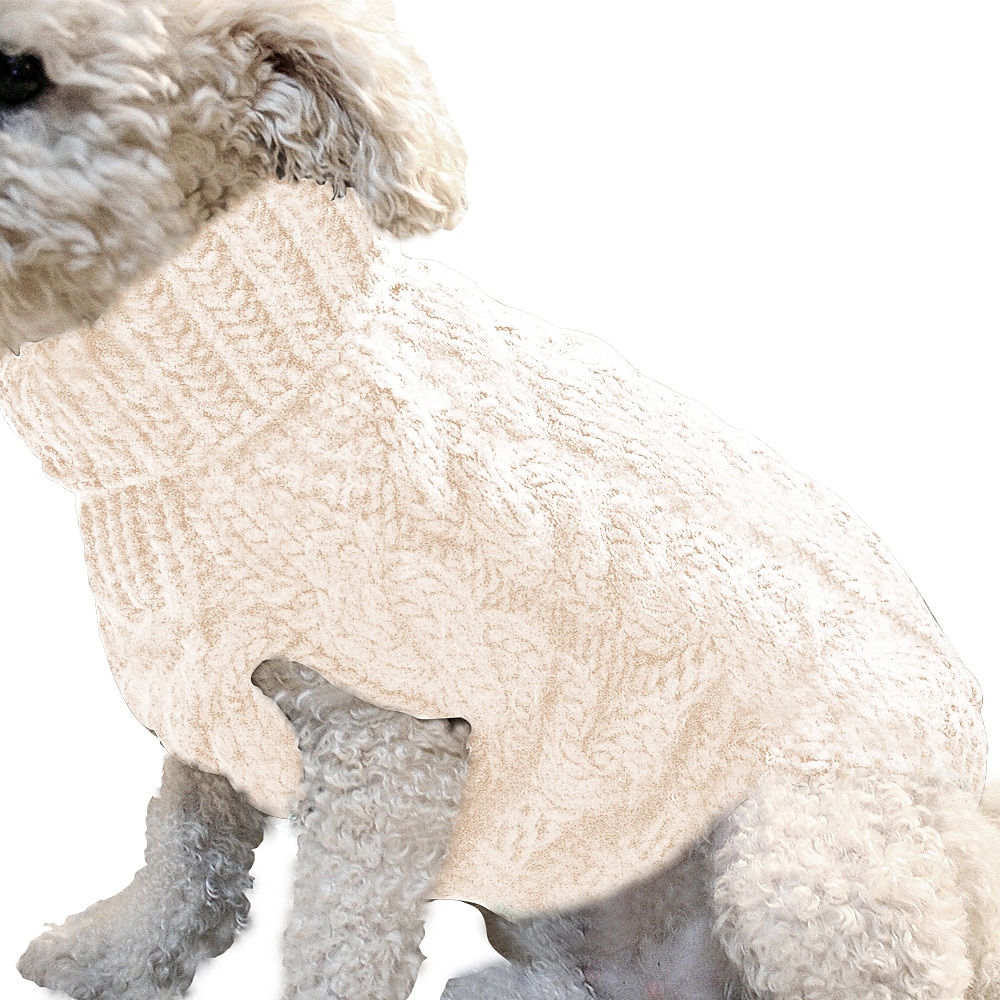 Hund Katt Tröjor Jumper Mode Ledigt Vinter Varm Andningsfunktion Mjuk Tvättbar Bekväm Utomhus Ledigt / vardag Hundkläder for Bichon Frisé Pommeran valpen eller det lilla husdjuret Fjäril Small 2025 - $18.99 –P7