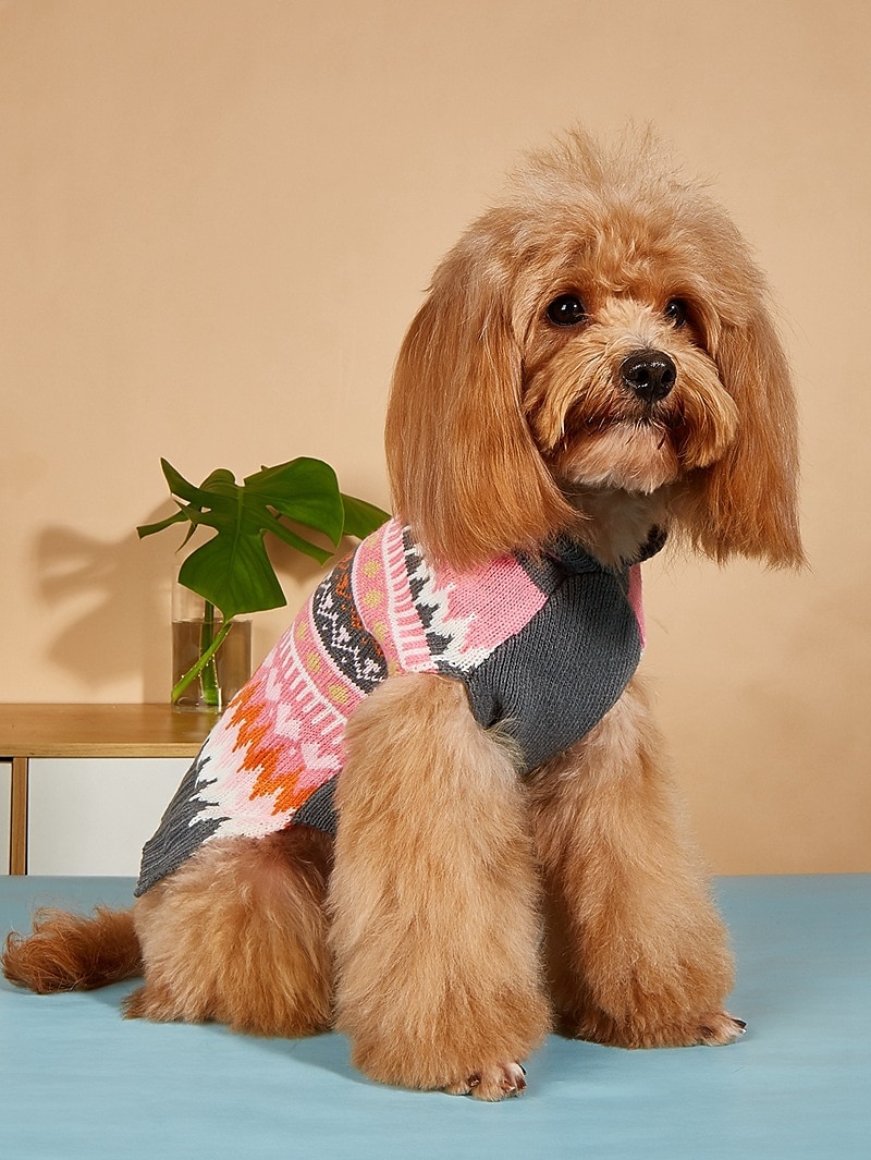 Câini Pisici Pulovere Jumper Petrecere Casual Iarnă Respirabil Απαλό Lavabil Comfortabil Crăciun În aer liber Casul / Zilnic Îmbrăcăminte pentru câini for Bichon Frise Pomeran un Animalut Fluture 2025 - $18.99 –P16