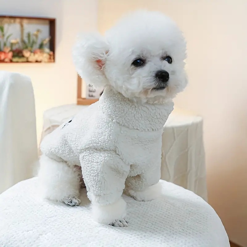 Câini Pisici Hanorace cu Glugă Modă Sport & Outdoor Iarnă Cald Respirabil Απαλό Lavabil Comfortabil În aer liber Casul / Zilnic Îmbrăcăminte pentru câini for Bichon Frise Pomeran un Animalut Fluture 2025 - $18.99 –P4