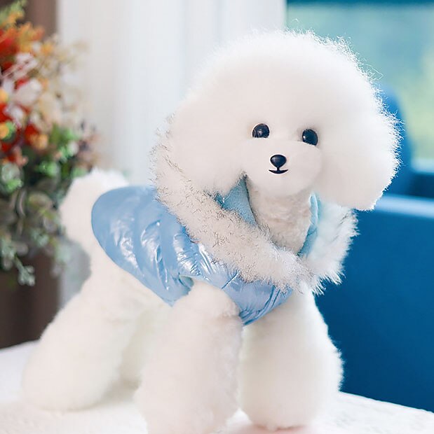 Psy Koty Płaszcz Kurtka Kamizelka Sport i turystyka Codzienny Zima Odblaskowy Ciepłe Oddychający Miękka Zmywalny Na zewnątrz Codzienne Ubranka dla psów for Bichon frise Szpic miniaturowy szczeniaków 2025 - $20.99 –P11