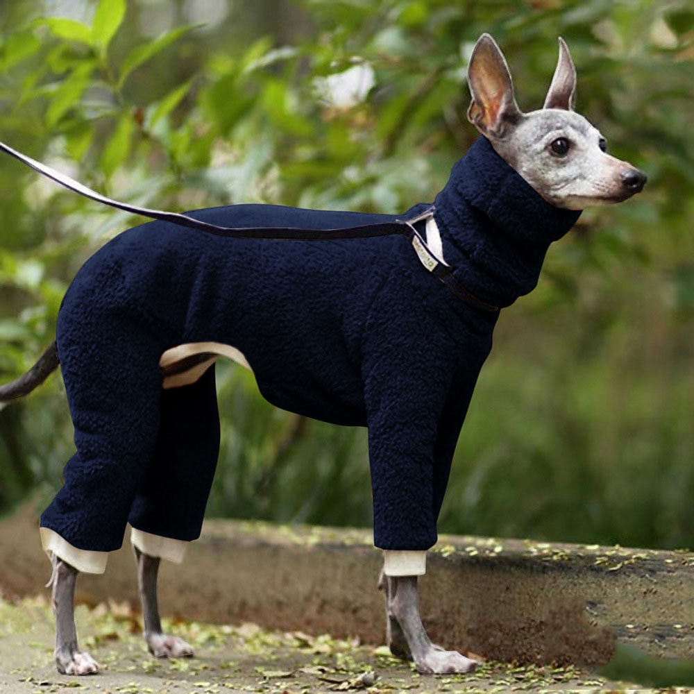 Cane Gatto Cappotto Giacca Moda Casual Inverno Traspirante Morbido Lavabile Confortevole All'aperto Casual Quotidiano Abbigliamento per Cani for Bichon Frisé Volpino di Pomerania Cucciolo Papillon del 2026 a $27.99 –P13
