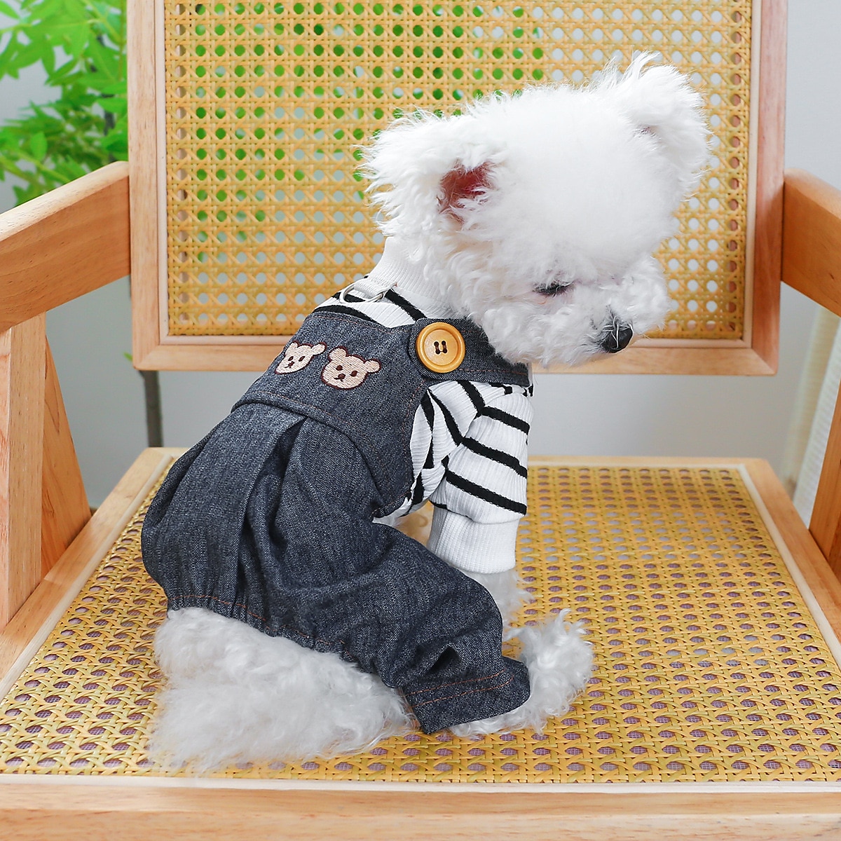 Cachorros Gatos Macacão Moda Casual Inverno Respirável Macio Lavável Confortável Ao ar livre Casual / Diário Roupas para cães for Bichon Frise Pomerânia Animais de Pequeno Porte Borboleta Small de 2025 por $20.99 –P5