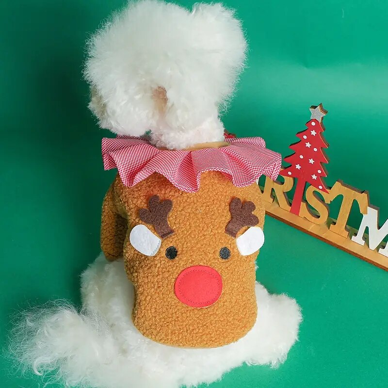 Chien Chat Manteau Veste Mignon Occasionnel Hiver Chaud Respirant Doux Lavable Confortable Extérieur Décontracté Quotidien Vêtements pour Chiens for Bichon Frisé Spitz Nain Bébé Animal Papillon Petit de 2025 ? $20.99 –P1