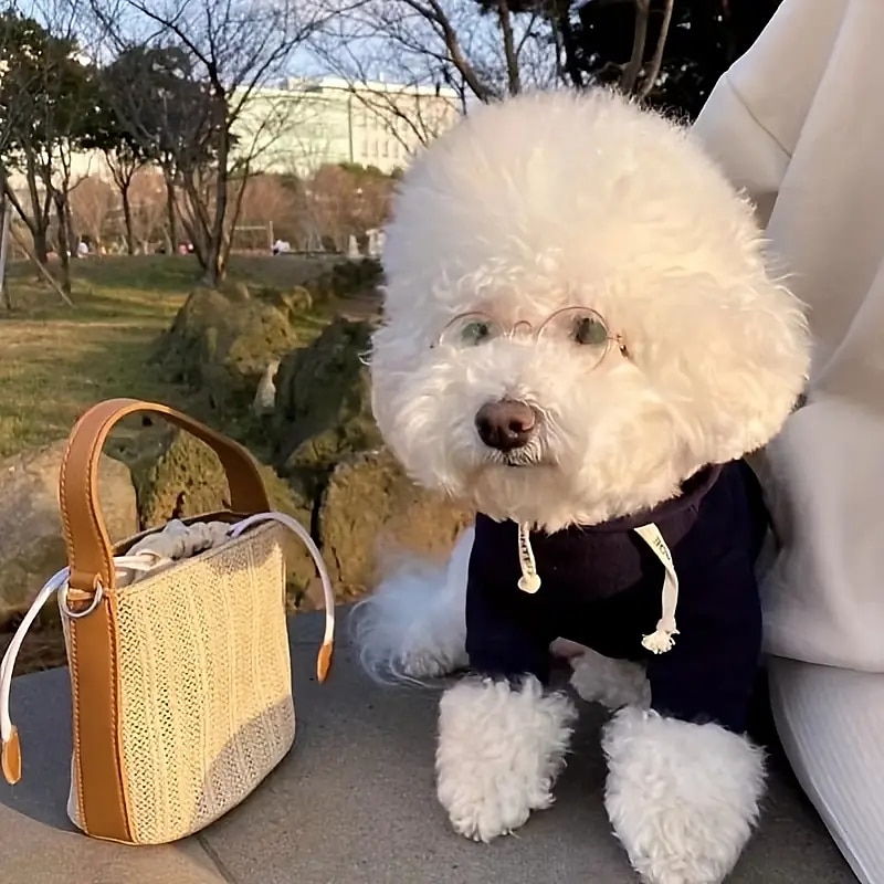 Psy Koty Bluza z Kapturem Minimalistyczny Codzienne Zima Oddychający Miękka Zmywalny Wygodny Na zewnątrz Codzienne Ubranka dla psów for Bichon frise Szpic miniaturowy szczeniaków i młodych kotów 2025 - $23.99 –P1