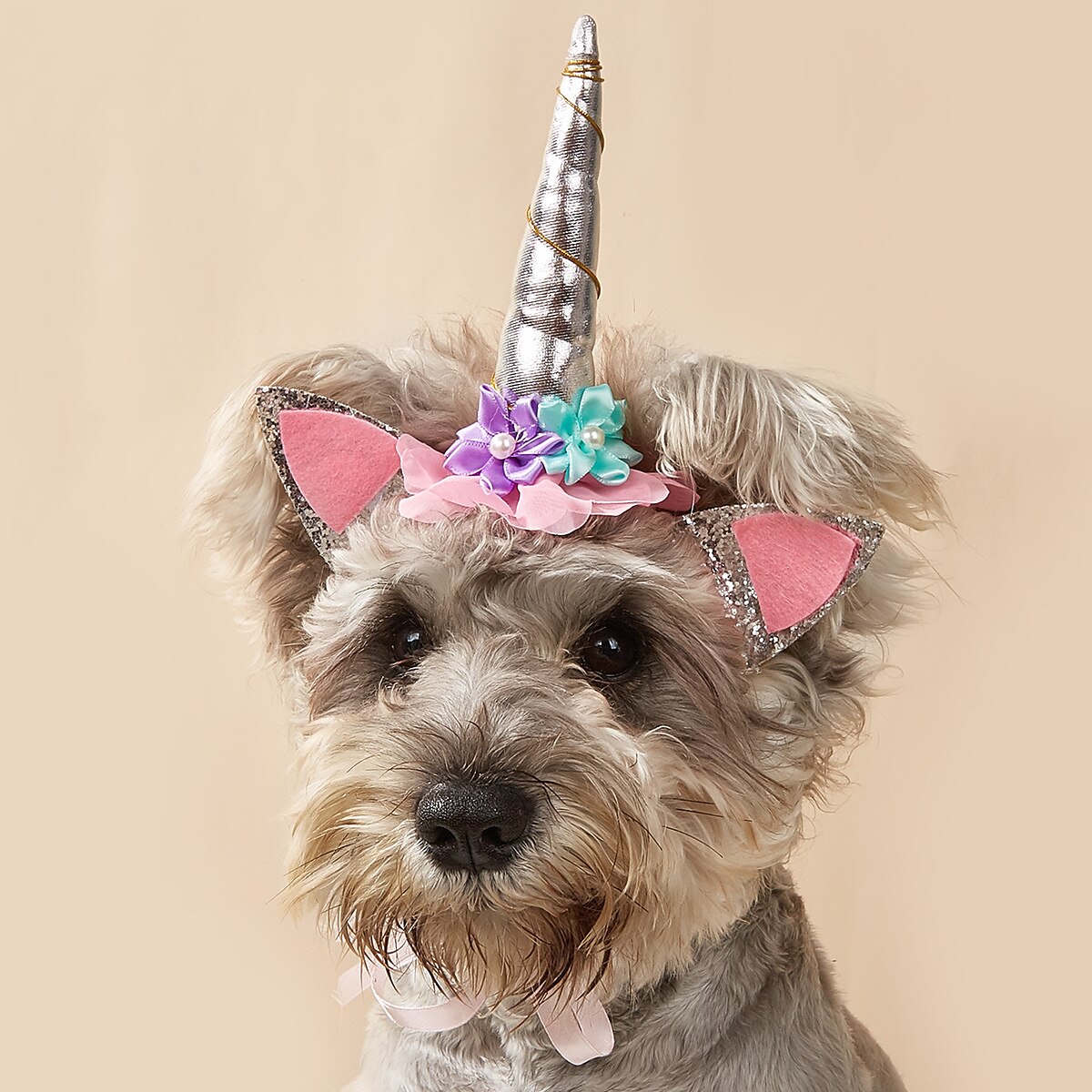 2025年 犬用 猫用 飾り かわいいスタイル カジュアル 冬 高通気性 ソフト 洗濯可 快適 アウトドア カジュアル／普段着 犬服 for ビジョンフリーゼ ポメラニアン 赤ちゃんサイズ パピヨン Small  コレクション – $15.49 –P5
