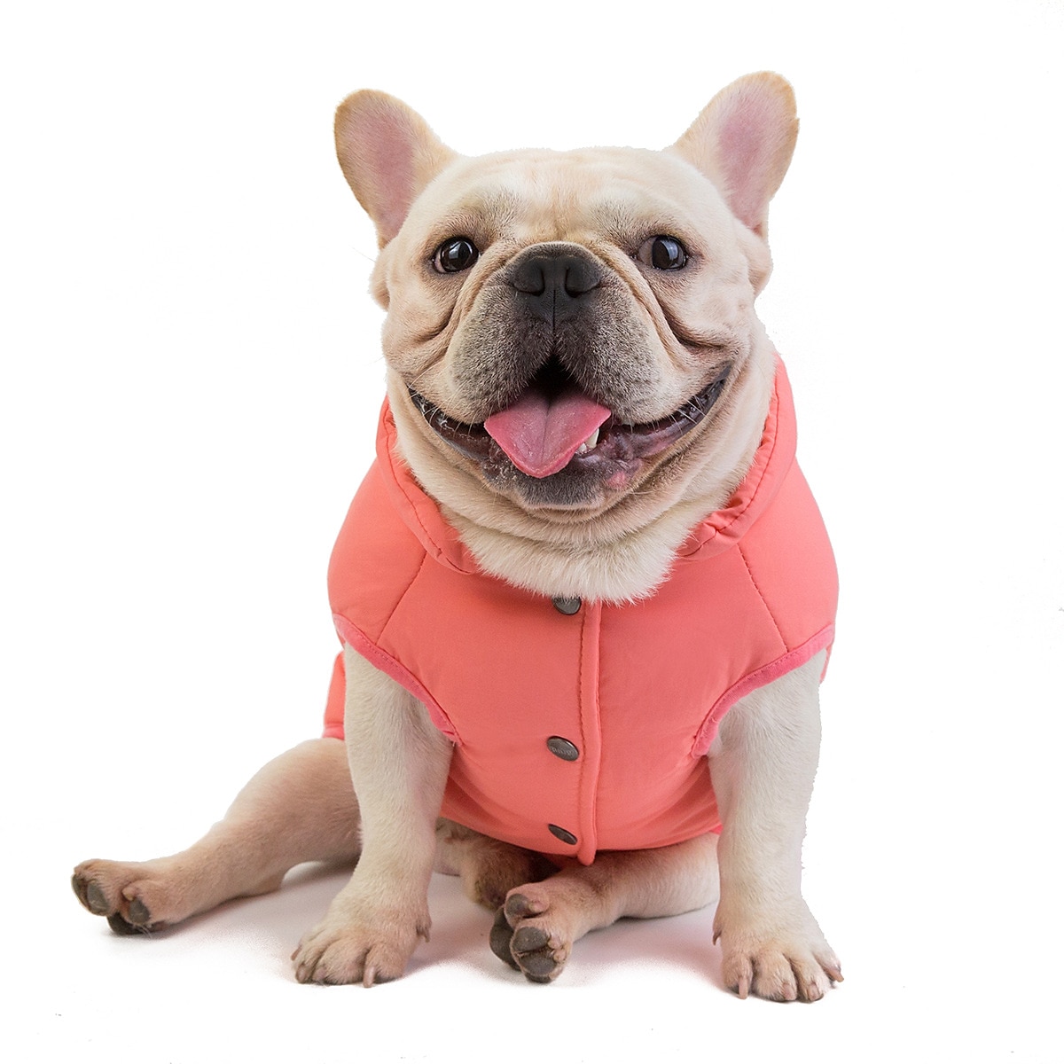 Perros Gatos Abrigos Chaqueta Chaleco Moda Fiesta Invierno Transpirable Suave Lavable Cómodo Navidad Víspera de Todos los Santos Exterior Casual Diario Ropa para perros for Bichón Frisé Pomerania 2025 - $20.99 –P3