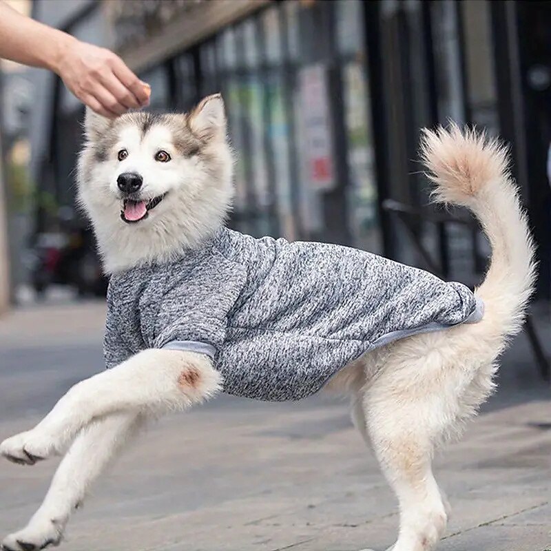 Cachorros Gatos Moletom Moda Festa Inverno Quente Respirável Macio Lavável Confortável Natal Dia Das Bruxas Ao ar livre Casual / Diário Roupas para cães for Bichon Frise Pomerânia Animais de Pequeno de 2025 por $17.49 –P3