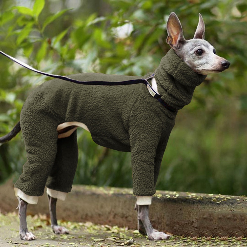 Cane Gatto Cappotto Giacca Moda Casual Inverno Traspirante Morbido Lavabile Confortevole All'aperto Casual Quotidiano Abbigliamento per Cani for Bichon Frisé Volpino di Pomerania Cucciolo Papillon del 2026 a $27.99 –P12