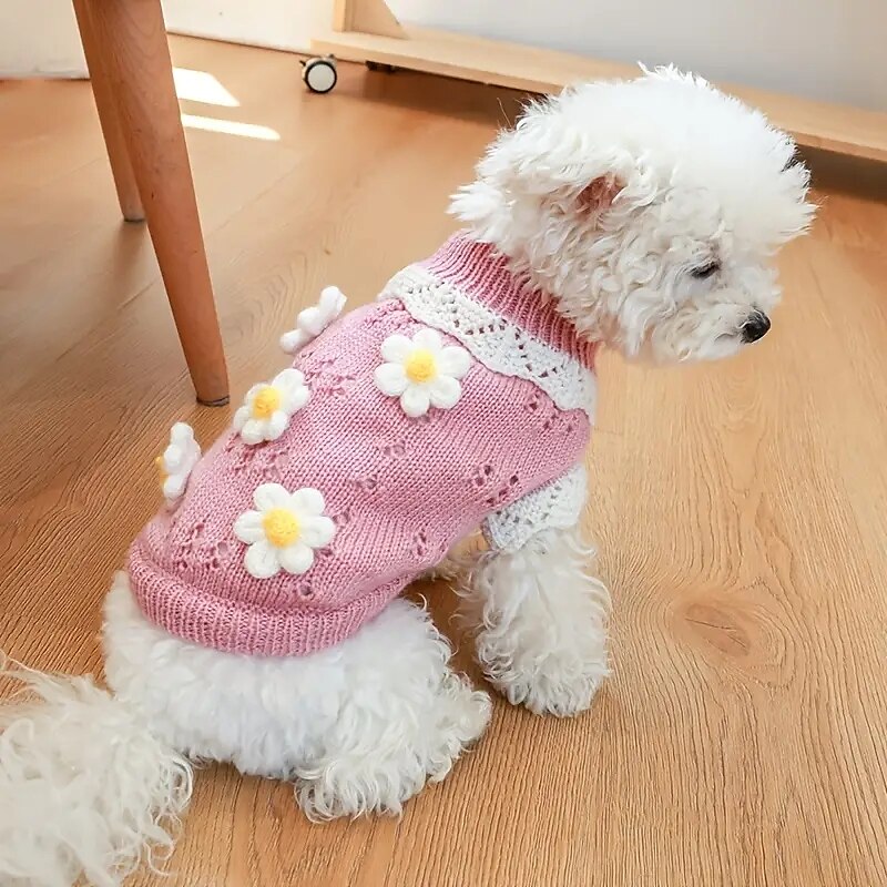 Psy Koty Sweter Śłodkie Codzienny Zima Ciepłe Oddychający Miękka Zmywalny Wygodny Na zewnątrz Codzienne Ubranka dla psów for Bichon frise Szpic miniaturowy szczeniaków i młodych kotów Motyl Small 2025 - $23.99 –P4
