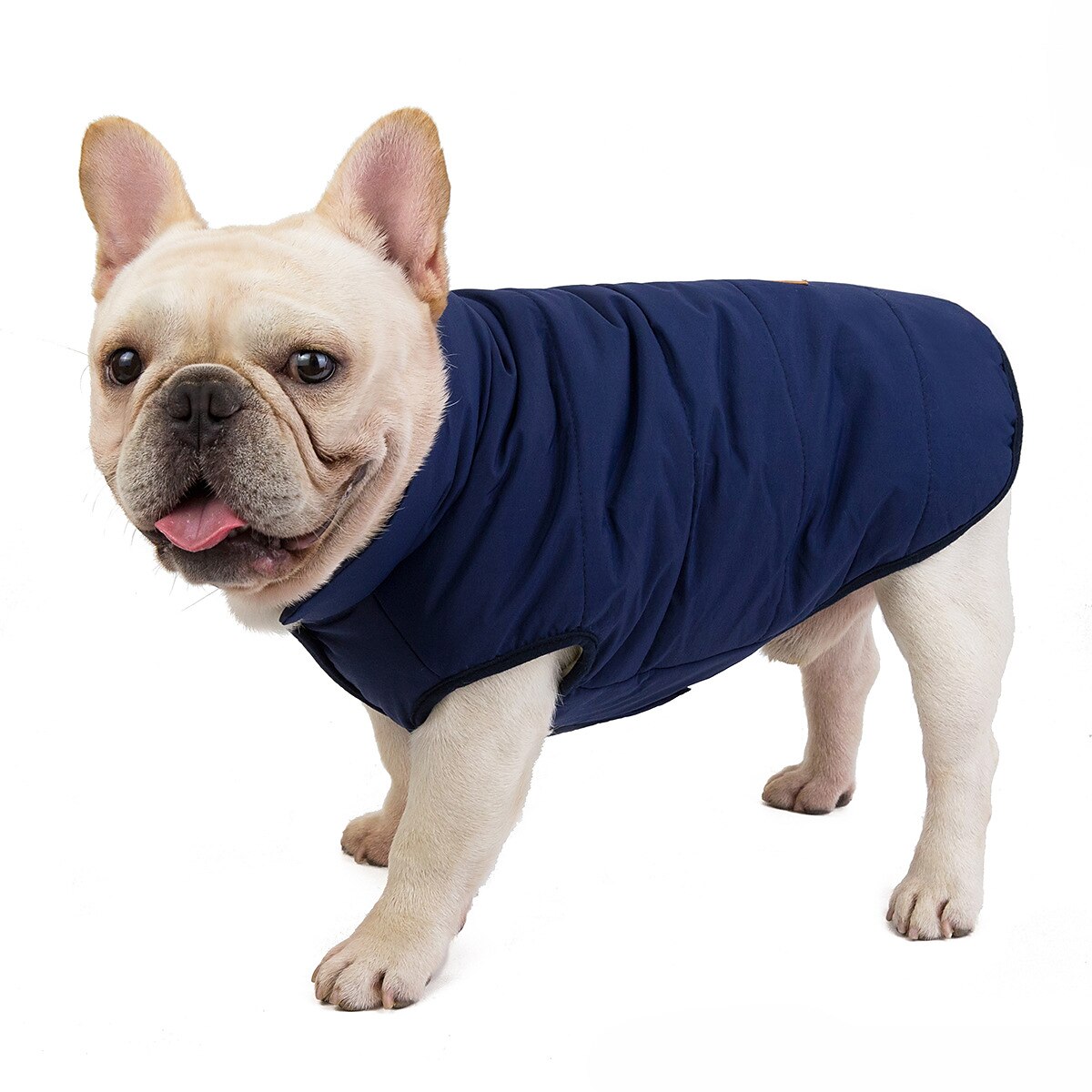 Perros Gatos Abrigos Chaqueta Chaleco Moda Fiesta Invierno Transpirable Suave Lavable Cómodo Navidad Víspera de Todos los Santos Exterior Casual Diario Ropa para perros for Bichón Frisé Pomerania 2025 - $20.99 –P5