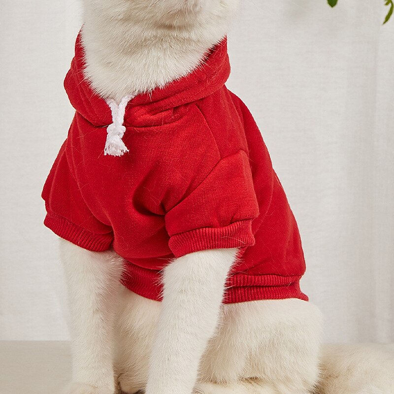 Perros Gatos Saco y Capucha Deportes y Exterior Casual Invierno Templado Transpirable Suave Lavable Cómodo Exterior Casual Diario Ropa para perros for Bichón Frisé Pomerania Animal doméstico del beb 2025 - $15.49 –P4