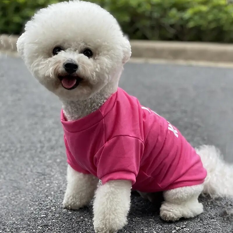 Hunder Katter Trøye / T-skjorte Mote Fritid Pustende Myk Vaskbar Bekvem utendørs Fritid / hverdag Hundeklær for Bichon Frisé Pommeran ungt kjæledyr Sommerfugl Small 2025 - $16.99 –P3