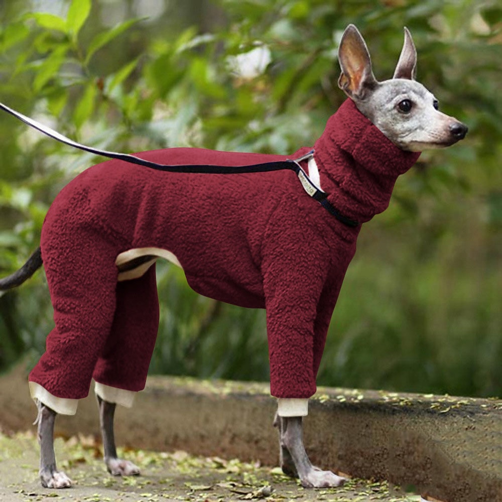 Cane Gatto Cappotto Giacca Moda Casual Inverno Traspirante Morbido Lavabile Confortevole All'aperto Casual Quotidiano Abbigliamento per Cani for Bichon Frisé Volpino di Pomerania Cucciolo Papillon del 2026 a $27.99 –P11