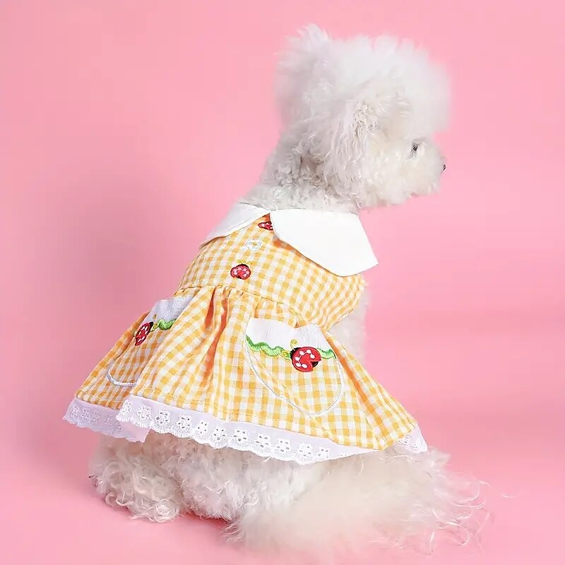Kutyák Macskák Ruhák aranyos stílus Alkalmi Tél Légáteresztő Mekano Mosható Kényelmes Szabadtéri Alkalmi / Napi Kutyaruházat for bichon frisé Pomerániai törpespitz Kölyök kisállat Pillangó Small 2025 - $20.99 –P8