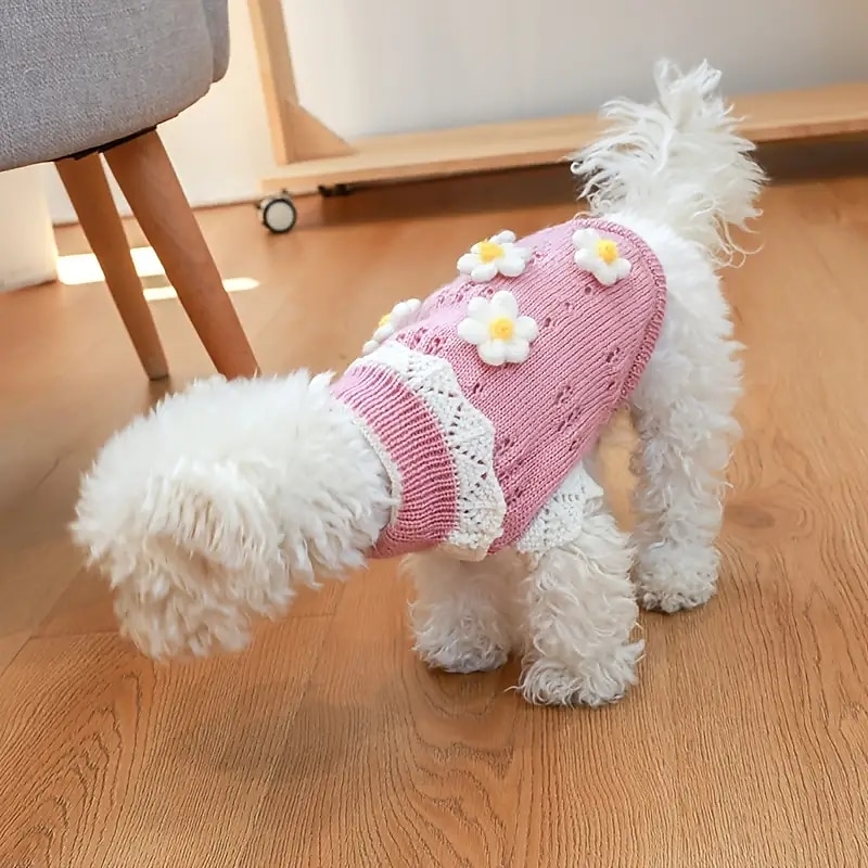 Psy Koty Sweter Śłodkie Codzienny Zima Ciepłe Oddychający Miękka Zmywalny Wygodny Na zewnątrz Codzienne Ubranka dla psów for Bichon frise Szpic miniaturowy szczeniaków i młodych kotów Motyl Small 2025 - $23.99 –P5