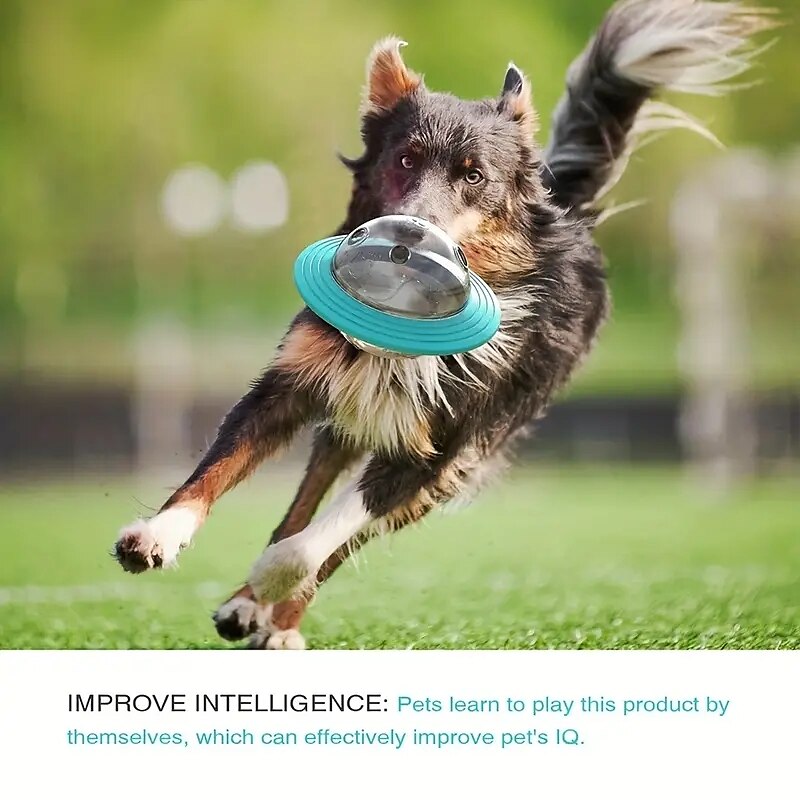 IQ Treat Ball Puzzle Toy For Dogs - Food Dispensing Slow Feeder Ball For Enrichment And Teeth Cleaning - Interactive Dog Toy For Small Medium And Large Dogs 2025 - $18.49 –P5