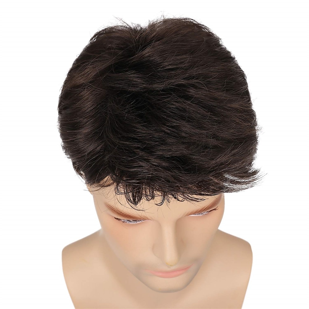 Mens Wig Short Drak Brown Wigs Layered Natural Cosplay Party Costume Hair Full Wig for Male Guy 2025 - $25.99 –P5