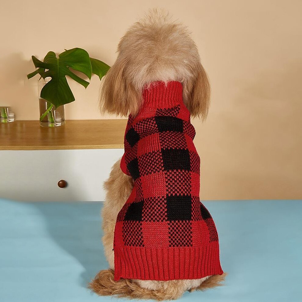 Koirat Kissat Neulepaidat Jumpperi Muoti Juhla Talvi Hengittävä Pehmeä Pestävä Mukava Joulu Halloween Joulu ulko- Rento / arki Koiran vaatteet for Bichon Frise Pomeranian Pienelle lemmikille papillon 2025 - $20.99 –P2