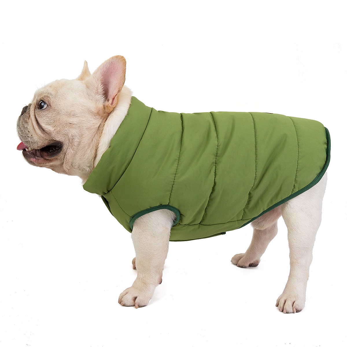 Perros Gatos Abrigos Chaqueta Chaleco Moda Fiesta Invierno Transpirable Suave Lavable Cómodo Navidad Víspera de Todos los Santos Exterior Casual Diario Ropa para perros for Bichón Frisé Pomerania 2025 - $20.99 –P6