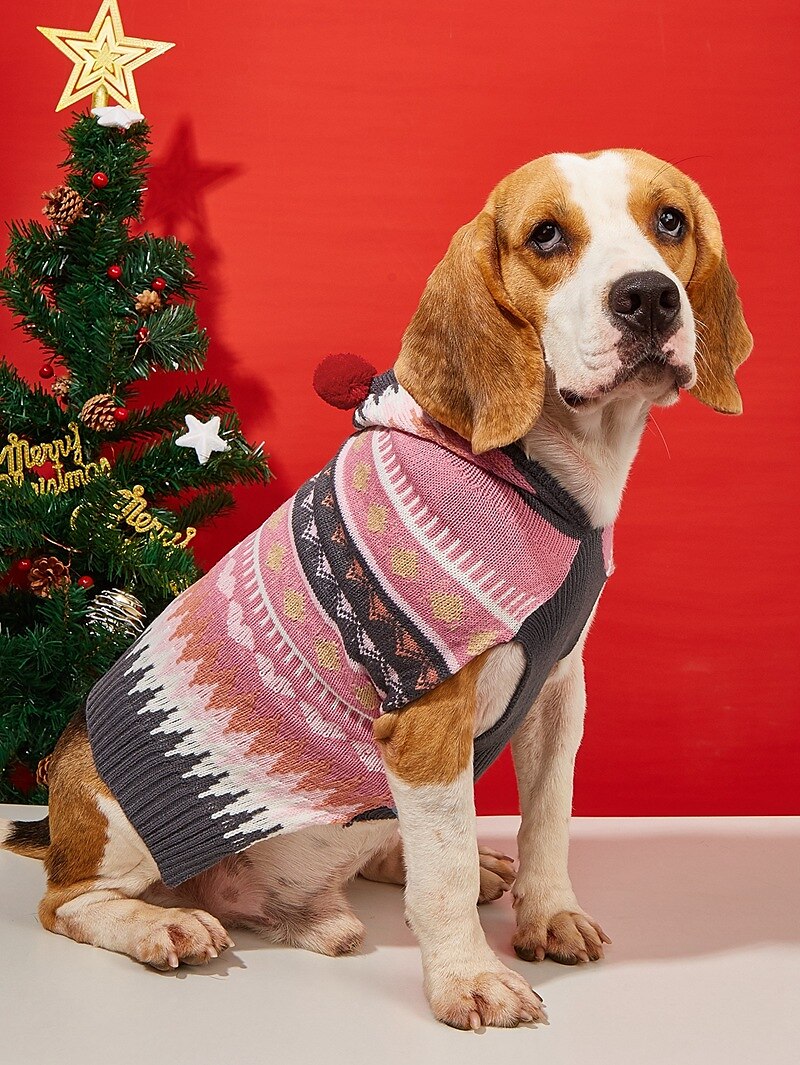 Câini Pisici Pulovere Jumper Petrecere Casual Iarnă Respirabil Απαλό Lavabil Comfortabil Crăciun În aer liber Casul / Zilnic Îmbrăcăminte pentru câini for Bichon Frise Pomeran un Animalut Fluture 2025 - $18.99 –P3