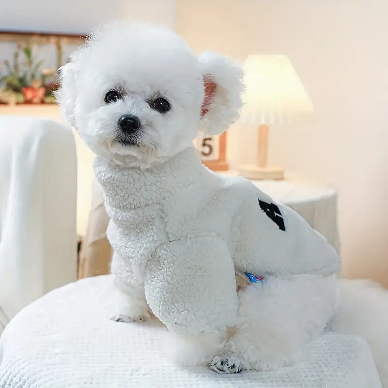 Câini Pisici Hanorace cu Glugă Modă Sport & Outdoor Iarnă Cald Respirabil Απαλό Lavabil Comfortabil În aer liber Casul / Zilnic Îmbrăcăminte pentru câini for Bichon Frise Pomeran un Animalut Fluture 2025 - $18.99 –P5