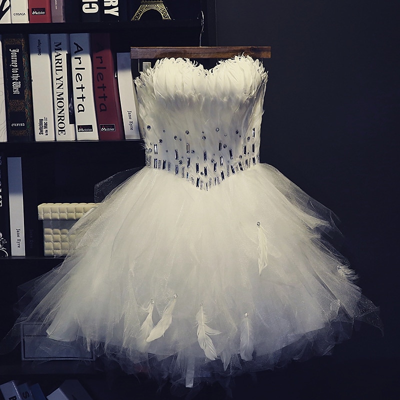Women's Princess Ballerina Dancer Performance Dancing Dress Tiered Tutu Gown Cute Party Tulle Feather White Dress 2025 - $84.99 –P4