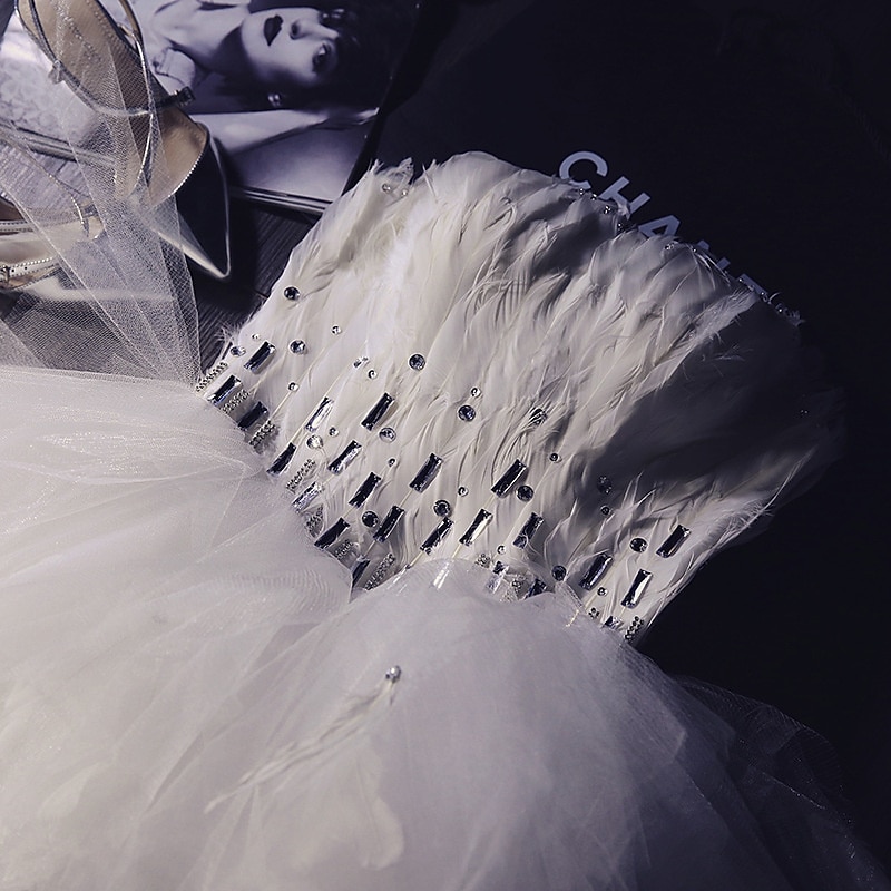 Women's Princess Ballerina Dancer Performance Dancing Dress Tiered Tutu Gown Cute Party Tulle Feather White Dress 2025 - $84.99 –P2