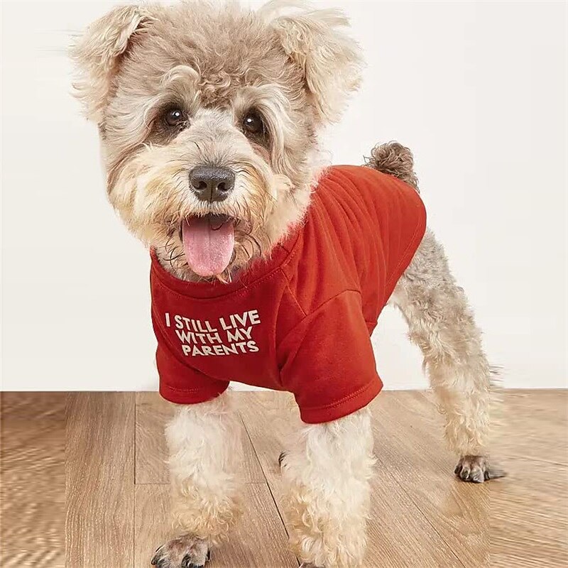 Psy Koty T-shirt Moda Codzienny Zima Oddychający Miękka Zmywalny Wygodny Na zewnątrz Codzienne Ubranka dla psów for Bichon frise Szpic miniaturowy szczeniaków i młodych kotów Motyl Small 2025 - $19.99 –P1