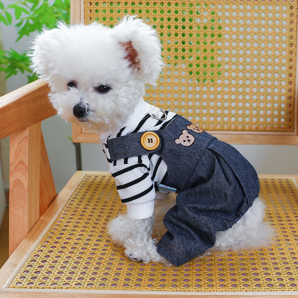 Cachorros Gatos Macacão Moda Casual Inverno Respirável Macio Lavável Confortável Ao ar livre Casual / Diário Roupas para cães for Bichon Frise Pomerânia Animais de Pequeno Porte Borboleta Small de 2025 por $20.99 –P4
