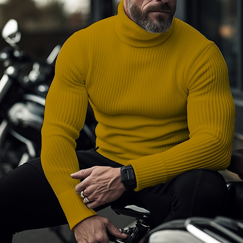 Men's Turtleneck Sweater Pullover Sweater Jumper Knit Sweater Ribbed Knit Regular Tops Pitted Plain Roll Neck Keep Warm Modern Contemporary Casual Daily Wear Clothing Apparel Fall Winter Black White 2025 - $24.99 –P4