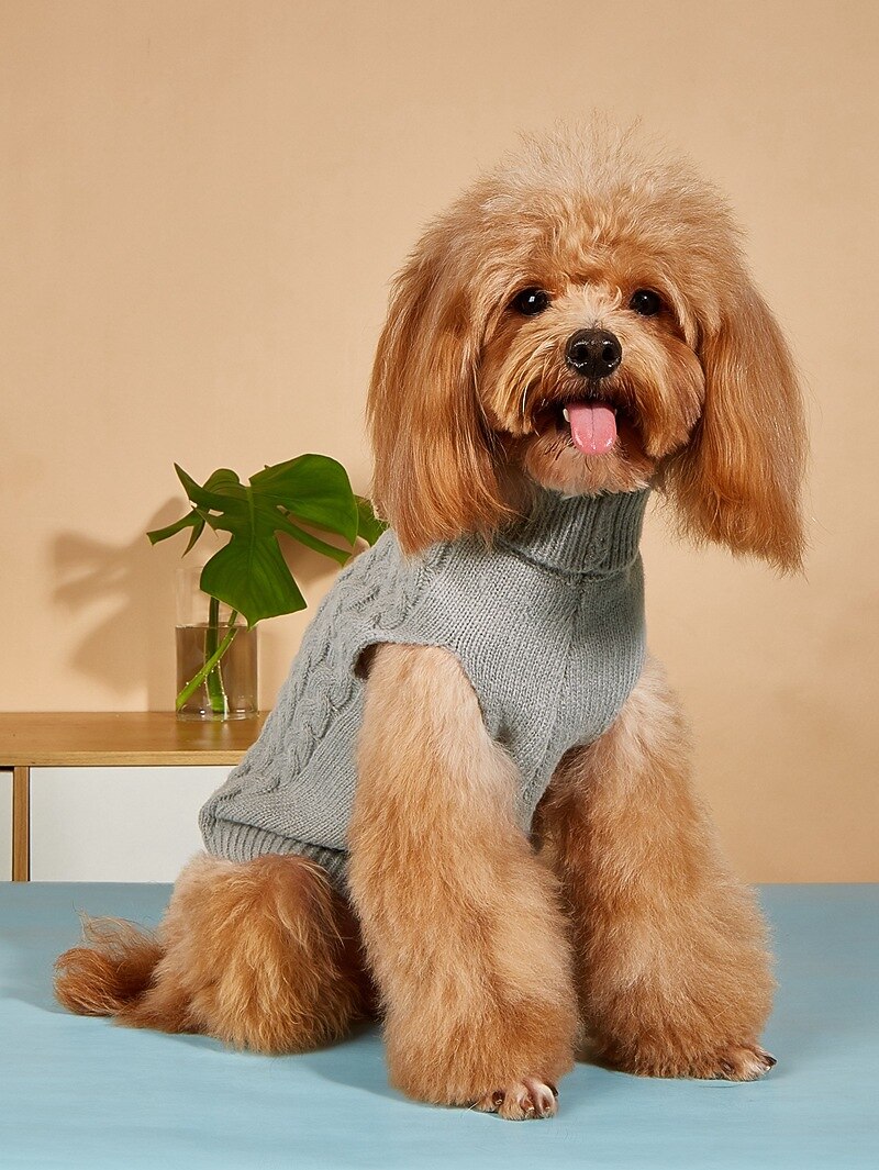 Chien Chat Pull Cavalier Style classique Décontractées Hiver Respirable Doux Lavable Confortable Noël Extérieur Casual Quotidien Vêtements pour chiens for Bichon Frisé Loulou de Poméranie Bébé Animal de 2025 ? $16.99 -P9